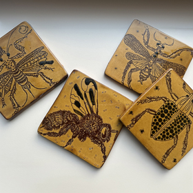 Meghna Arya Ceramics